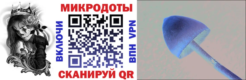 Купить где  Нязепетровск  Галлюциногенные грибы Psilocybe 